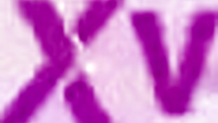 gina lin's first boy-girl experience with hard cock