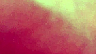 Anal plug insertion and masturbating with g-spot vibrator 😏