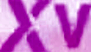 gina lin's first boy-girl experience with hard cock