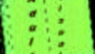 Summertime Saga 111 Small Tits Teen