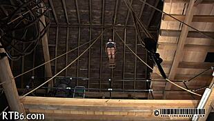 lusty collaring for ravishing sweetheart