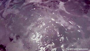 lesbian sex by the pool: vicky vette dildo fucks teal conrad