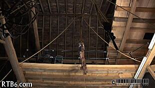 lusty collaring for ravishing sweetheart