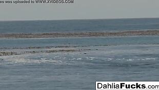 Hot Dahlia Sky Solo Fun Compilation!