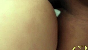 Bold tales of republica park hotel epone trailer adventures