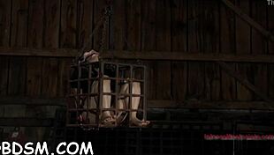 Hotty endures hardcore clamping on giant racks