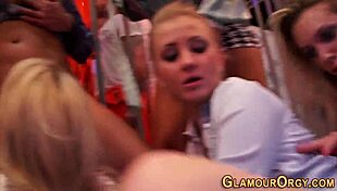 Glam sluts suck my schlongs