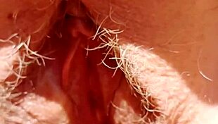 MATUREMONS HAIRY PUSSY GAPING SO CLOSE YOU CAN ALMOST SMELL HER