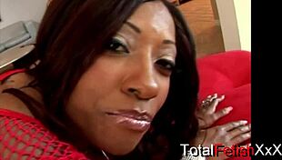 Cherokee D Ass Jazmine Cashmere