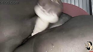Black Bbws With Fat Pussy Dive Into Hardcore Trailer Fun