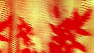 The Story of Intense Anal Assfucking Scenes