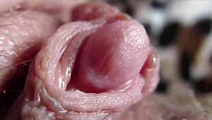 i watch my big clit orgasm closeup