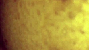 i creampied mrs lala's hairy ebony milf pussy