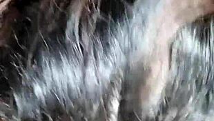 BBW Amateur Hardcore Featuring Big Ass and Tits