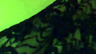 Wow, Stephanie Clover's beautiful face and hard cock shemale!