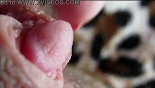 i watch my big clit orgasm closeup
