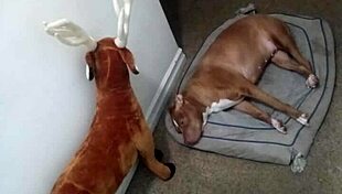 More Ways To Show Off Zodiac's Patience Without Masturbating