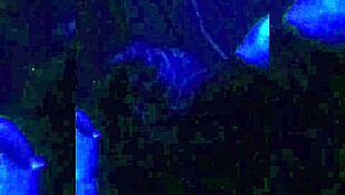 Watch my cheating girlfriend on the hidden camera