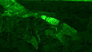 Late Night Party Turns Into Teen Lesbian Fun