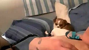 Xvideos Amateur Pussy Licking Video