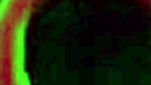 Ashley Fires Spermed In Stockings