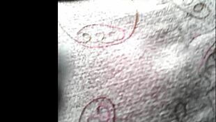 she was doing her shopping in the market