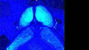 She Said, Lay Down, Papi! And Then The Fun Began 😏.