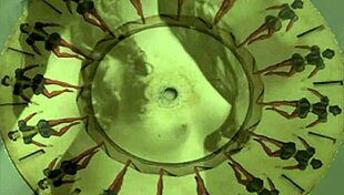 vintage old porn from the retro era with hairy beaver scenes