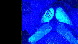 She Said, Lay Down, Papi! And Then The Fun Began 😏.