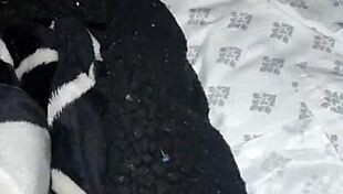 Pack Night Four Explores Feet Fetish