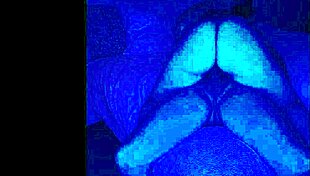 She Said, Lay Down, Papi! And Then The Fun Began 😏.