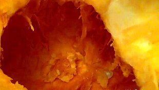 Abigail Mac's Halloween Solo Masturbation