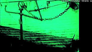 I enjoy the dragonfly freddie from dark lantern entertainment