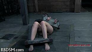 BDSM Electro Castigation Involves Intense Shock And Submission Scenes