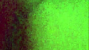 Daddy Beating That Nut Bush