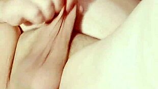 Latina Shemale Stevi Dolly