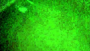 Daddy Beating That Nut Bush