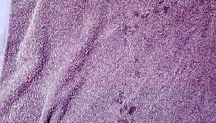 cumshot masturbation with moaning