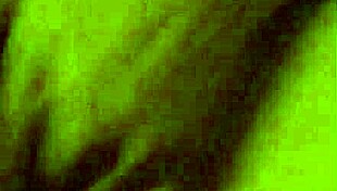 i cant beleive white cock rams big ebony ass deepthroat