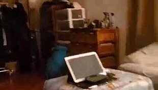 Kandy Kane's Passionate Deepthroat and Fucking Session