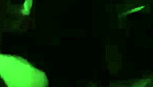 Smiley Joy Loves Sucking Slick Rick Dip Stick