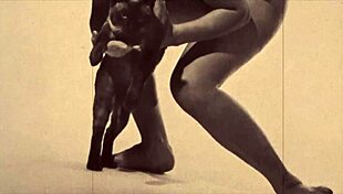 Dark lantern entertainment presents beauty and the beast