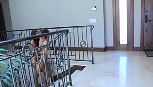 Hardcore Lesbians Licking And Muff Diving Pussy