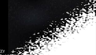 scarlett b wilde answers favorite sex toy questions