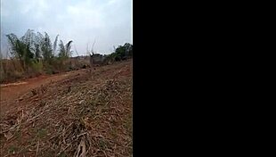 Pequena caipira with old boot went to sugarcane field dancing funk and fucking hard!