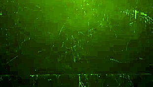 The horny college girl fucking