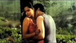 Amateur blonde hammered deep