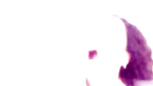 double anal with balls deep action, buttrose gaping, creampie, and swallow in rough session