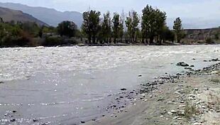 public pissing compilation in nature traveling pov free