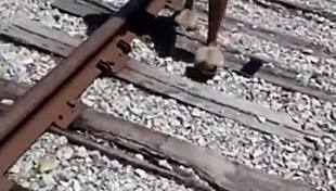 fisherman finds stripper and gives her a dirty shower